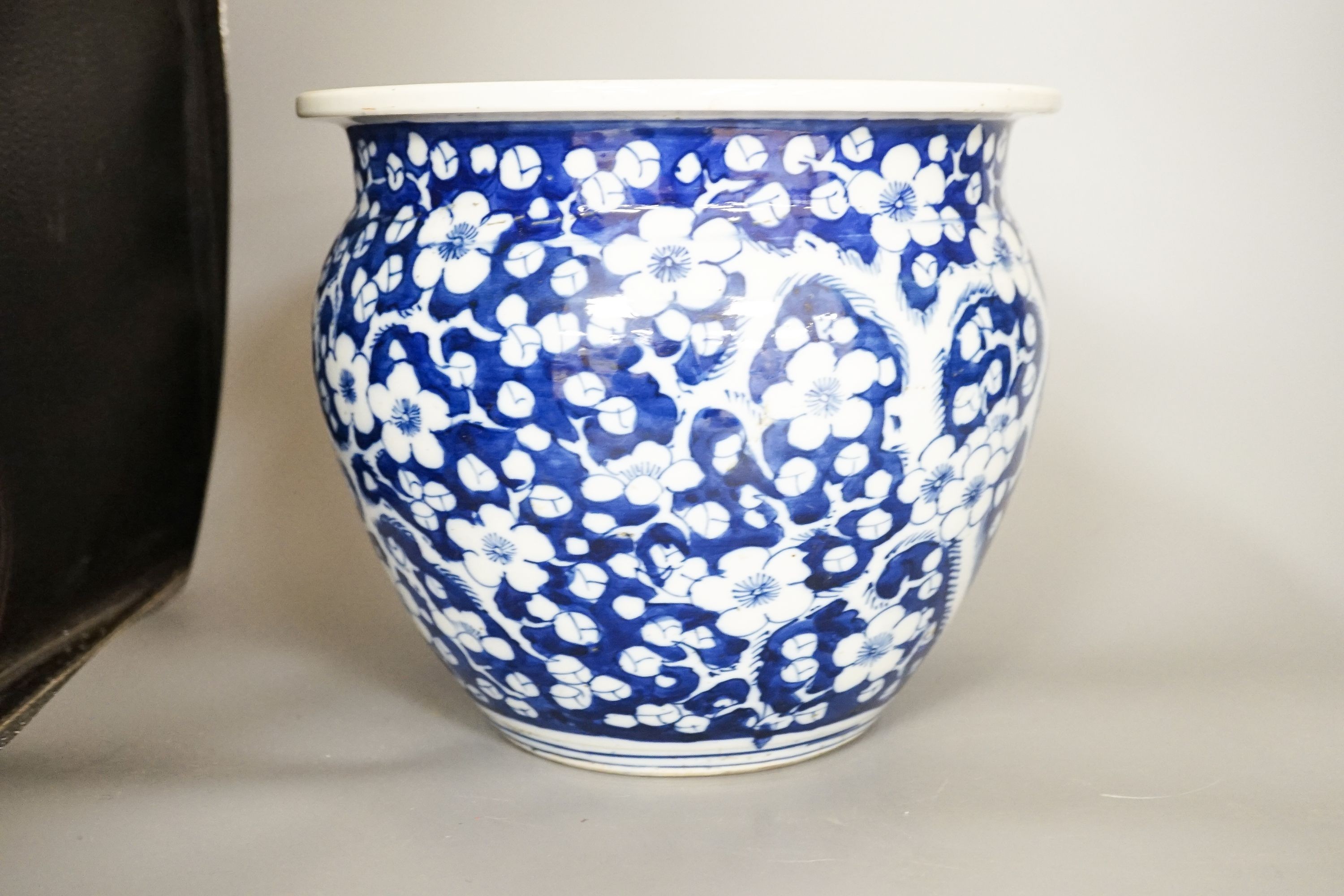 Two 19th century Chinese porcelain fish bowls, largest 26.5 cm diameter